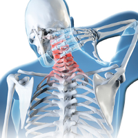 Chiropractic Essentials - NBCE Part 1